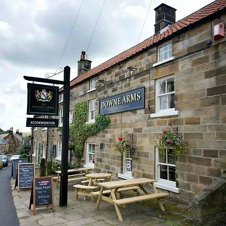 The Downe Arms