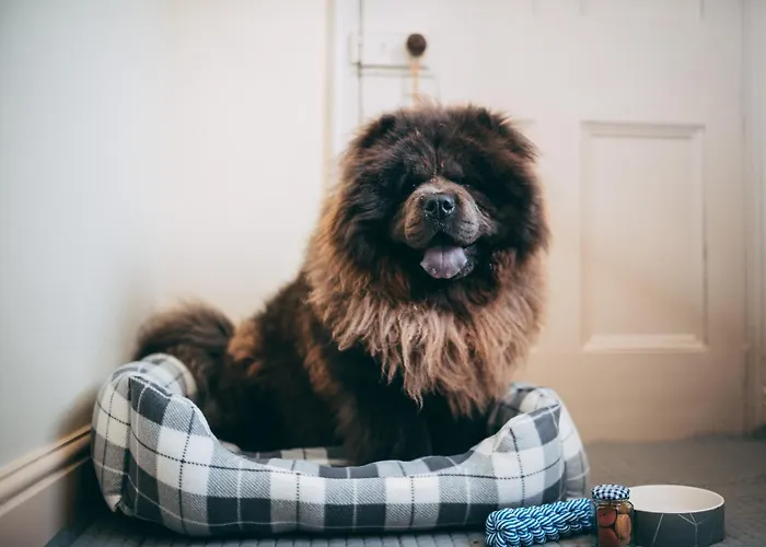 Bed and breakfast The Downe Arms Castleton (North Yorkshire)