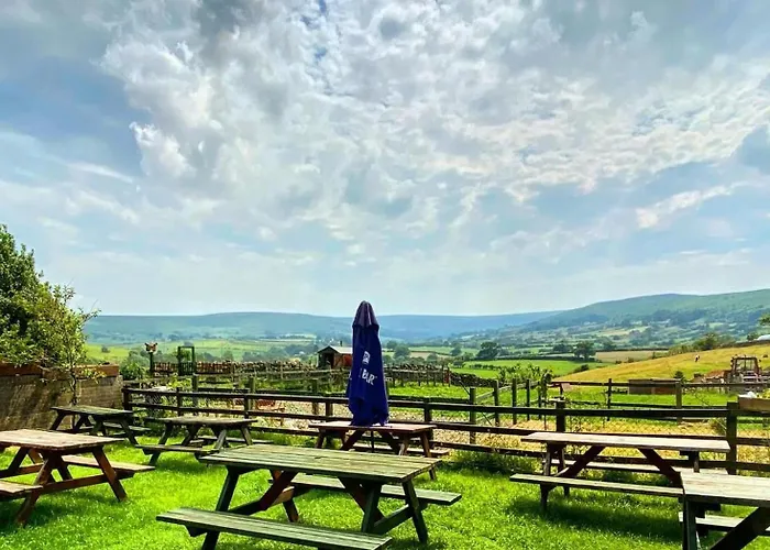 The Downe Arms Bed and breakfast 3*