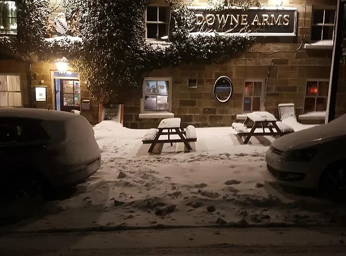 Bed and breakfast The Downe Arms