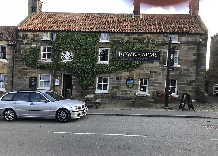 The Downe Arms