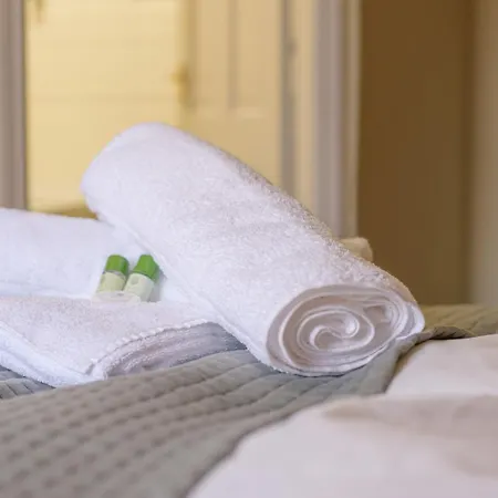 住宿加早餐酒店 The Downe Arms