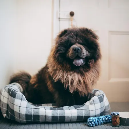 Bed & Breakfast The Downe Arms Castleton (North Yorkshire)