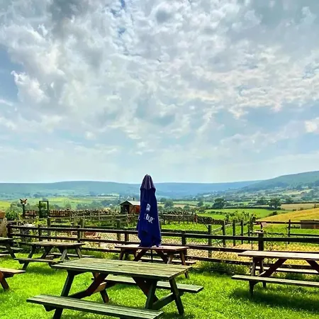 The Downe Arms Oda ve Kahvaltı 3*