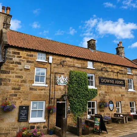 The Downe Arms Panzió 3*
