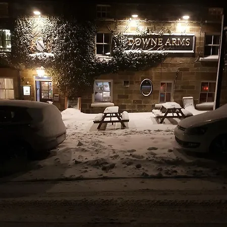 住宿加早餐酒店 The Downe Arms