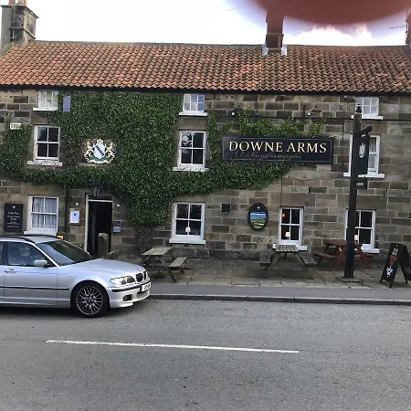 The Downe Arms