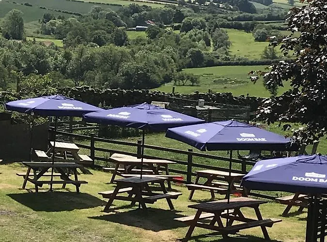 Bed & Breakfast The Downe Arms Castleton (North Yorkshire)